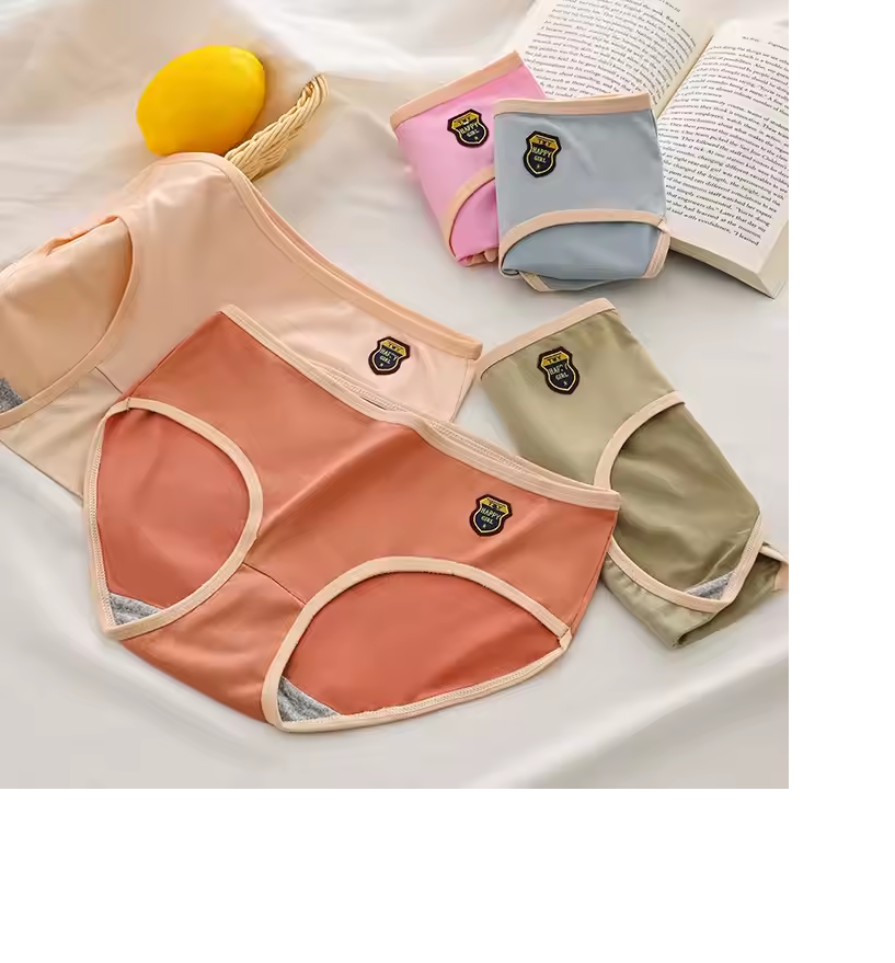 Dessous, culotte (Ref D001)